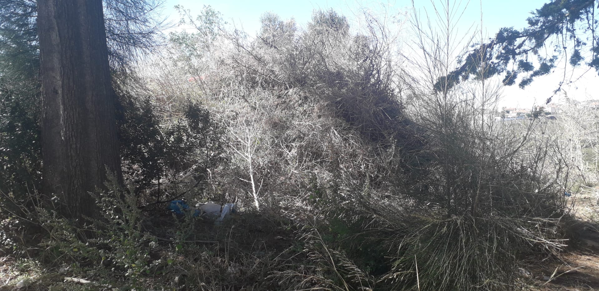 Local: baloiço panorâmico